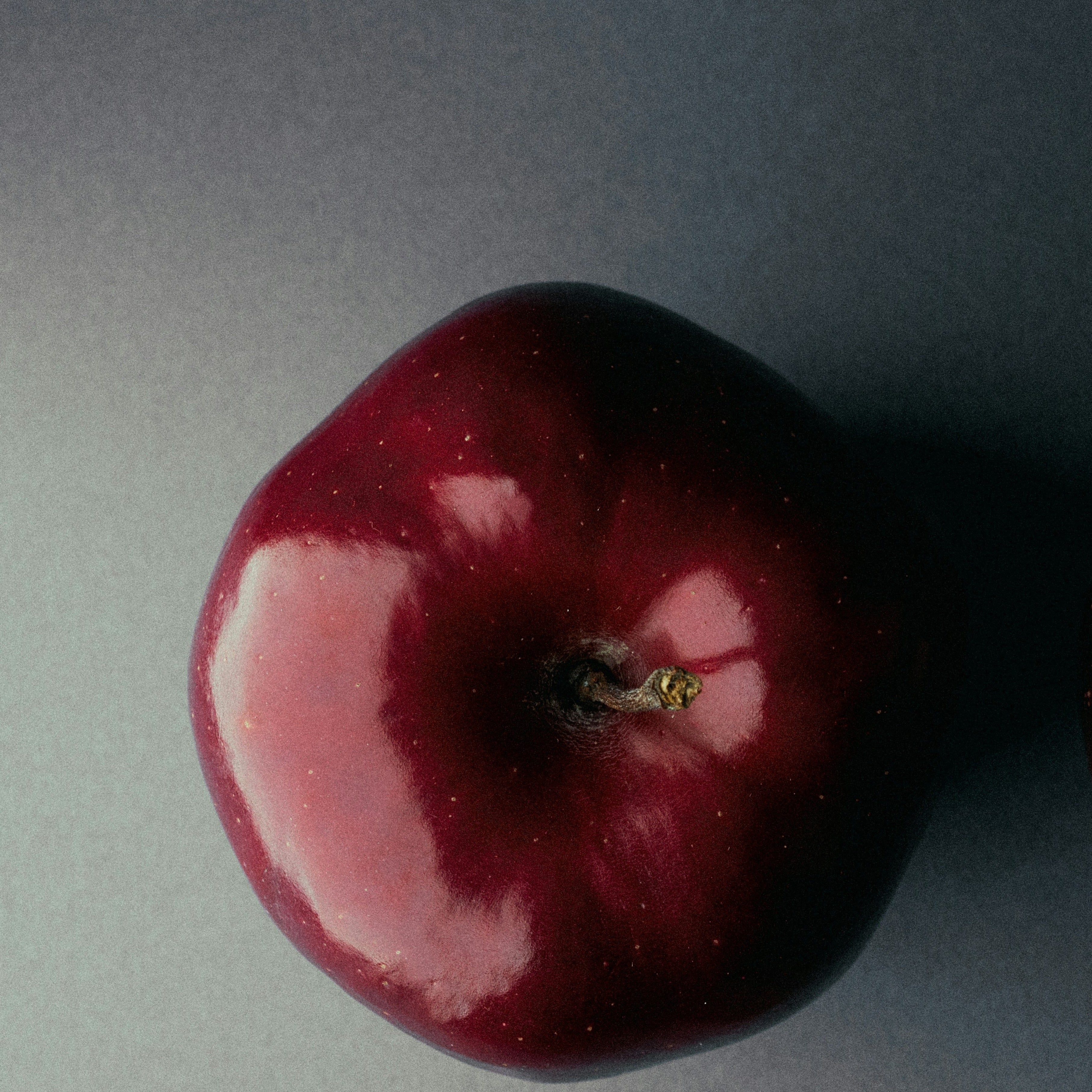 Nourishment vs. Nutrition