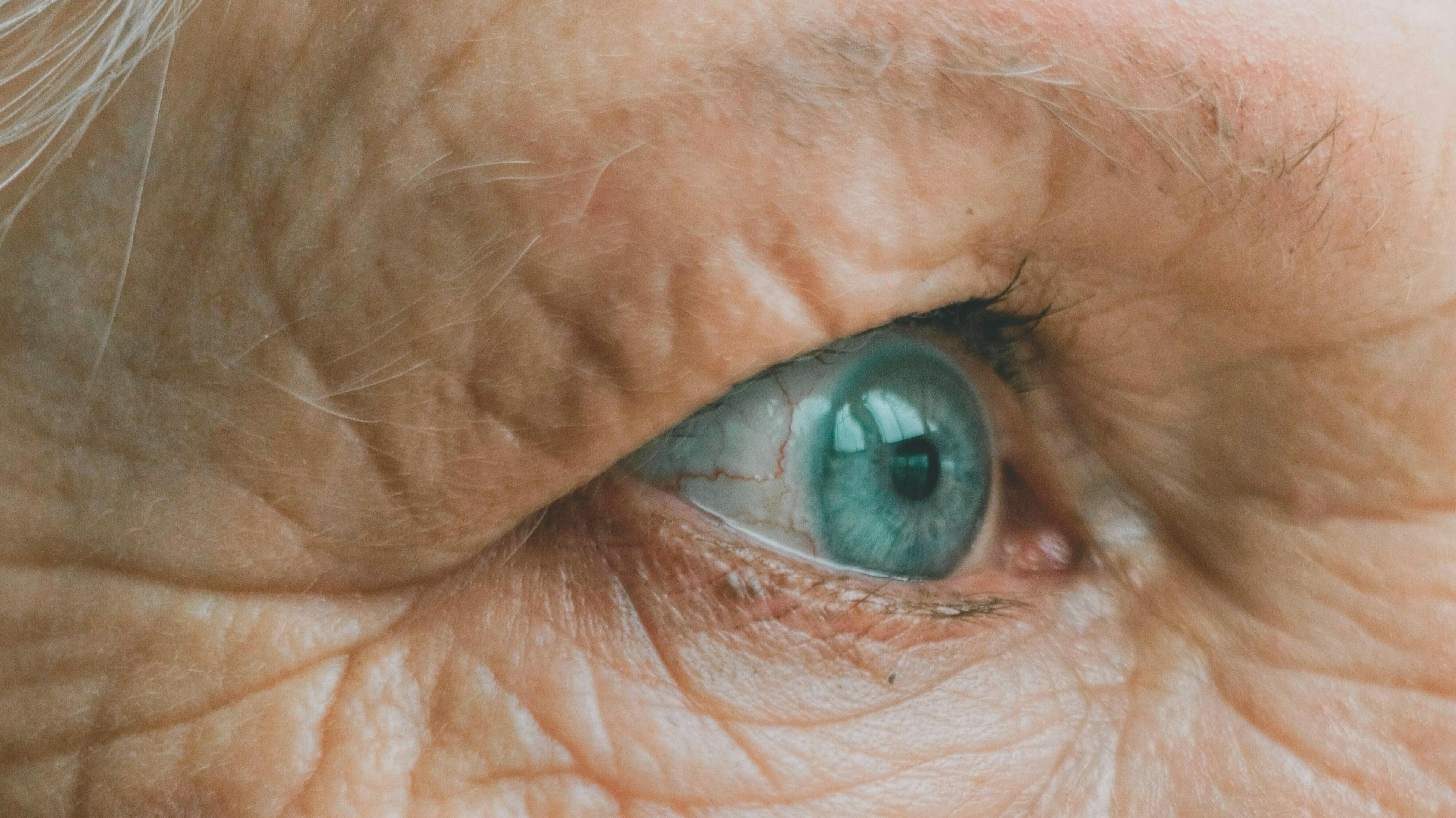 What If Aging Made You Feel More Alive?