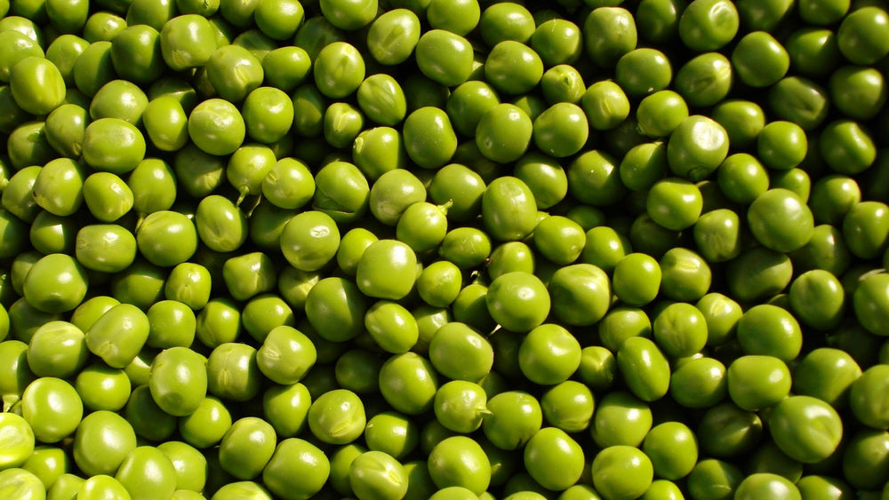 Forest Pearls