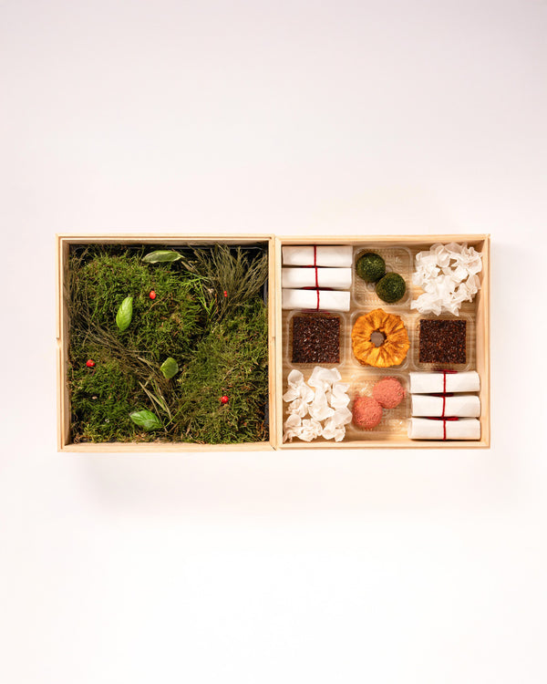 EYWA GARDEN BOX - -eywa.love