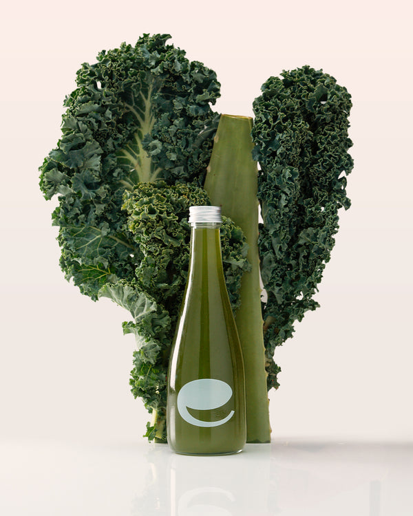 Catalyst - eywa.love